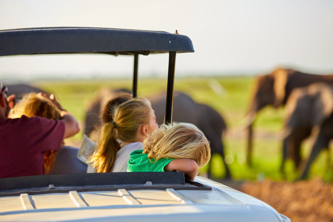 Family on a game drive with elephants